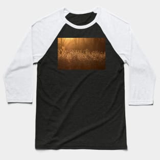 Golden Soybean Field Baseball T-Shirt